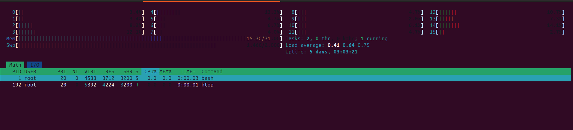 htop screen